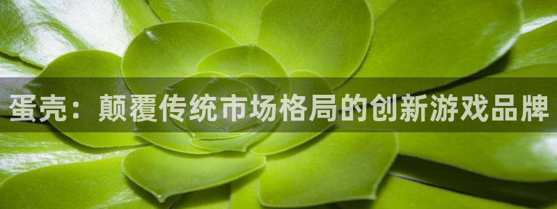 蓝冠娱乐咨询：蛋壳：颠覆传统市场格局的创新游戏品牌