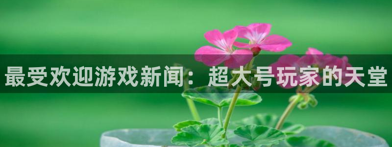 蓝冠娱乐平台登陆：最受欢迎游戏新闻：超大号玩家的天堂