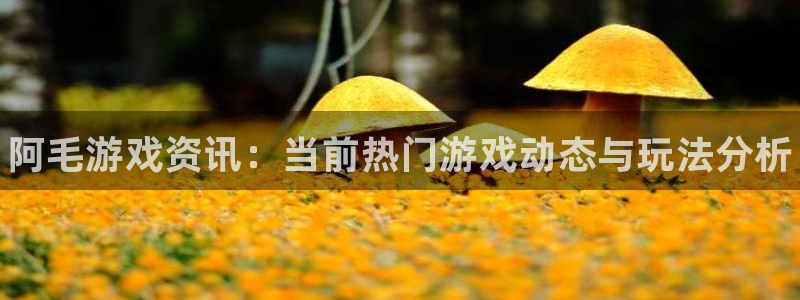 蓝冠娱乐登录地址：阿毛游戏资讯：当前热门游戏动态与玩法分析