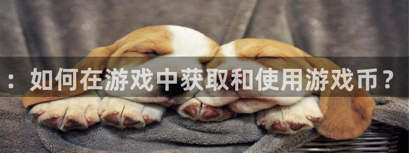 蓝冠娱乐平台负责人