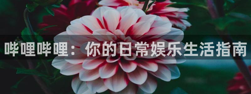 蓝冠娱乐手机网页版登录：哔哩哔哩：你的日常娱乐生活指南