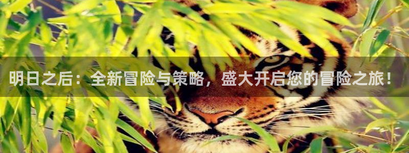 蓝冠娱乐咨询：明日之后：全新冒险与策略，盛大开启您的冒险之旅
