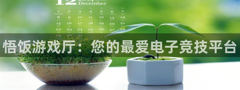 沐春蓝冠娱乐：悟饭游戏厅：您的最爱电子竞技平台