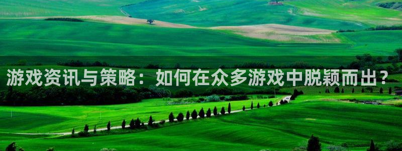 蓝冠娱乐是什么：游戏资讯与策略：如何在众多游戏中脱颖而出？