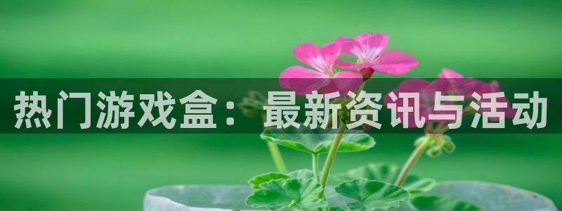 蓝冠娱乐4开户：热门游戏盒：最新资讯与活动