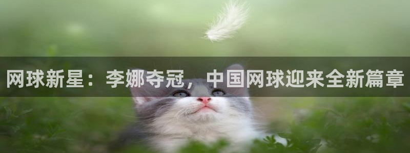 蓝冠娱乐平台登录线路：网球新星：李娜夺冠，中国网球迎来全新篇