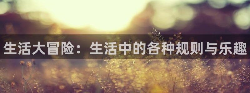 蓝冠娱乐Ii：生活大冒险：生活中的各种规则与乐趣