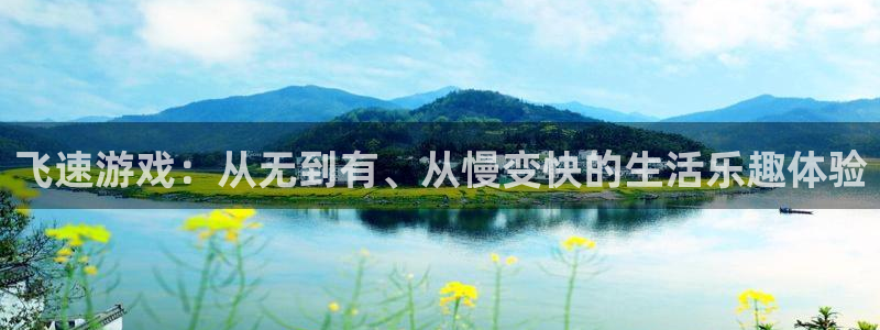 蓝冠电子科技有限公司怎么样啊：飞速游戏：从无到有、从慢变快的