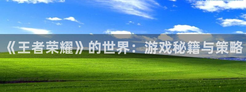蓝冠娱乐网页登录入口:《王者荣耀》的世界:游戏秘籍与策略